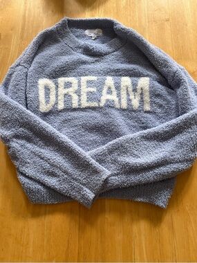 Dream Plush Crewneck Sweater - Light Blue
